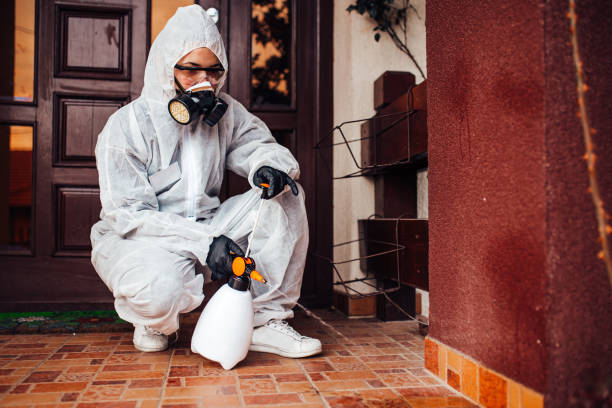 Attic and Crawl Space Rodent Treatment in Palermo